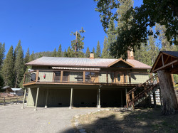 Apple Tree Bear House