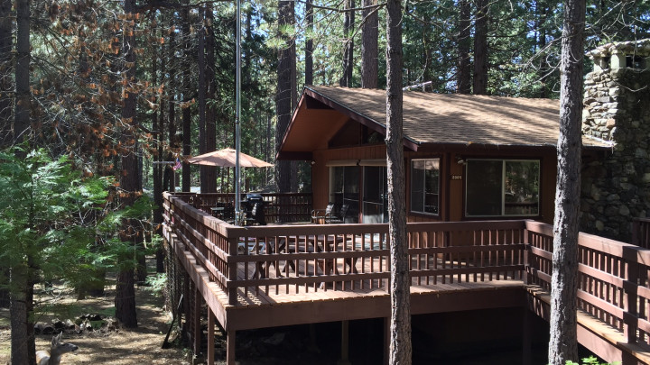 PaPa Bear Cabin