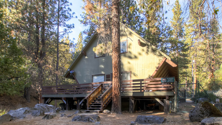 Yosemite's Creekside Birdhouse