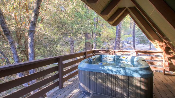 Yosemite's Creekside Birdhouse