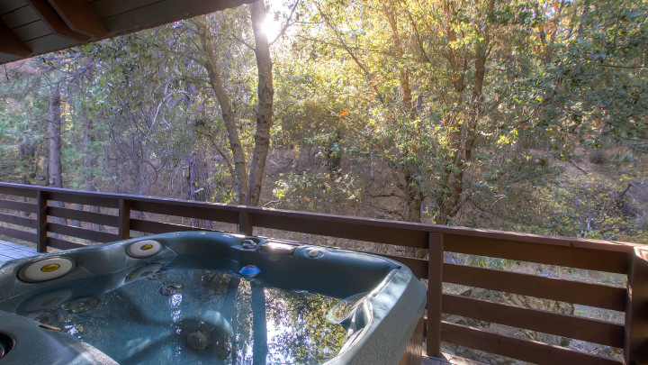 Yosemite's Creekside Birdhouse