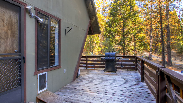 Yosemite's Creekside Birdhouse