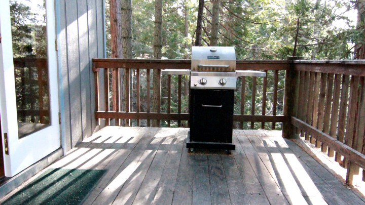 Tree House Lodge