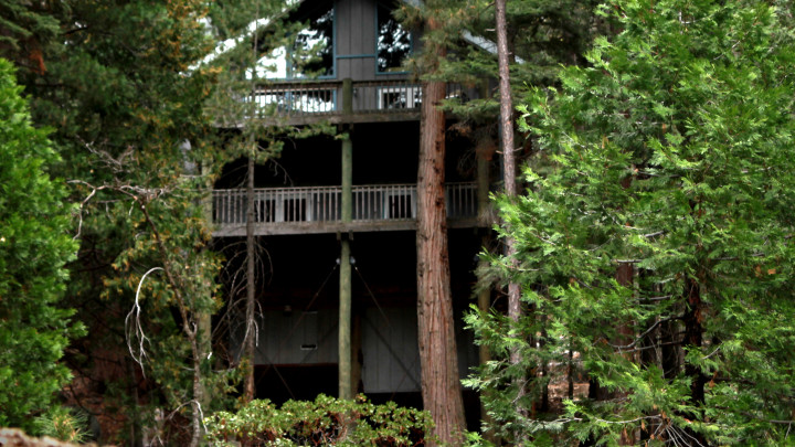 Tree House Lodge