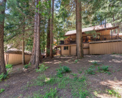 Chalet in the Pines