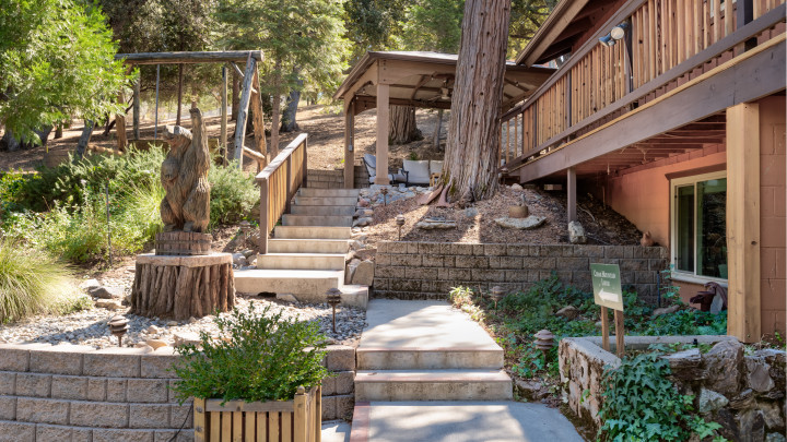 Cedar Mountain Lodge